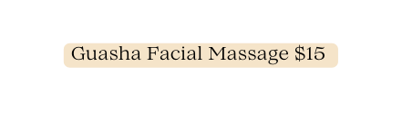 Guasha Facial Massage 15